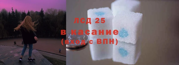 прущие грибы Сатка